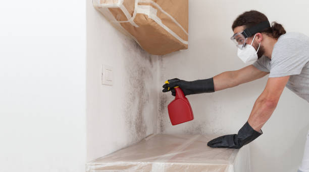 Professional Bathroom Mold Removal technician working in Lithia, FL