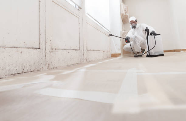 24/7 Emergency Bathroom Mold Removal experts in Lithia, FL